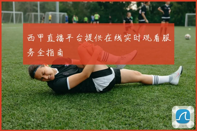 西甲直播平台提供在线实时观看服务全指南