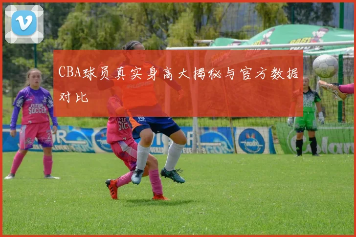 CBA球员真实身高大揭秘与官方数据对比